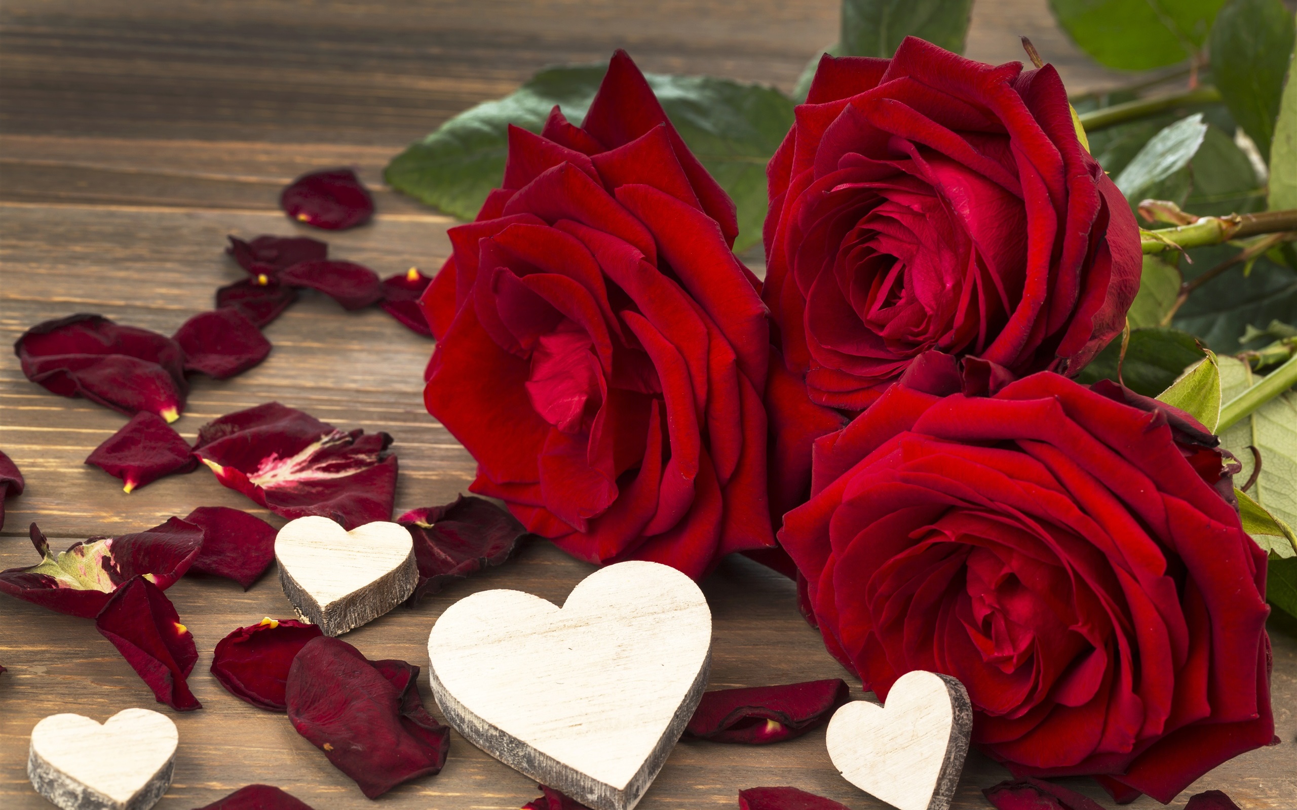 Wallpaper Red Rose, Flowers, Love, Valentine S Day - Happy Valentines Day Rose - HD Wallpaper 
