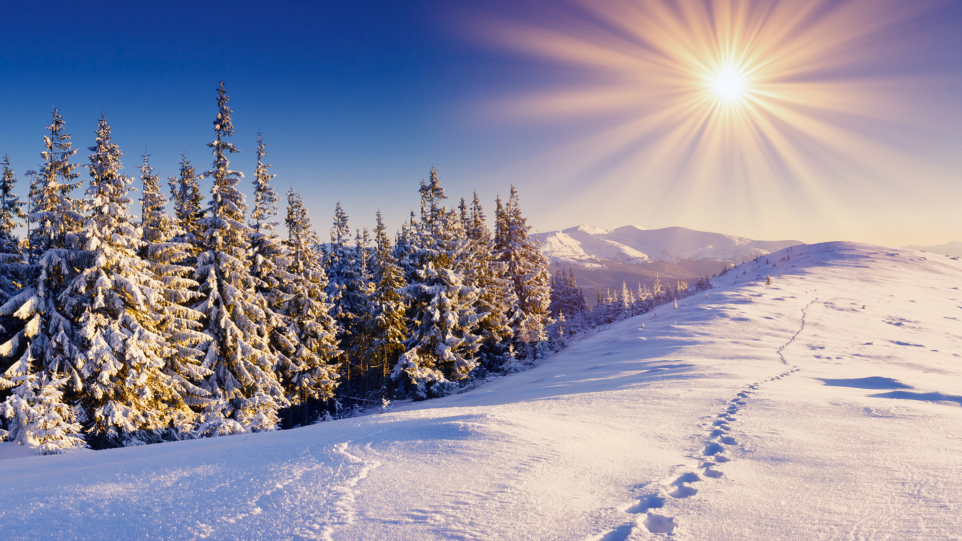 The Sun And Snow Wallpaper Free Wallpapers Hd Desktop - Desktop Wallpaper Winter - HD Wallpaper 