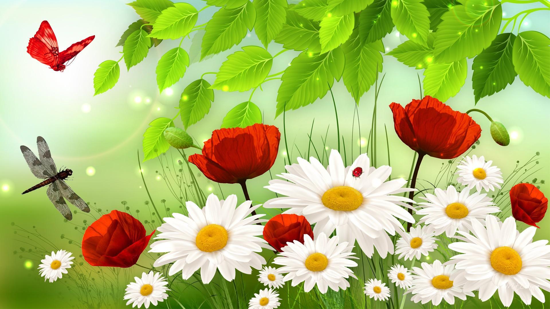 Sunshine On Spring - Hd Wallpaper Nature Flower - HD Wallpaper 