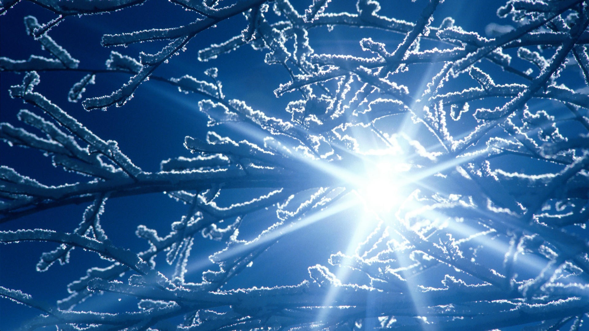 Солнце Зимой - HD Wallpaper 