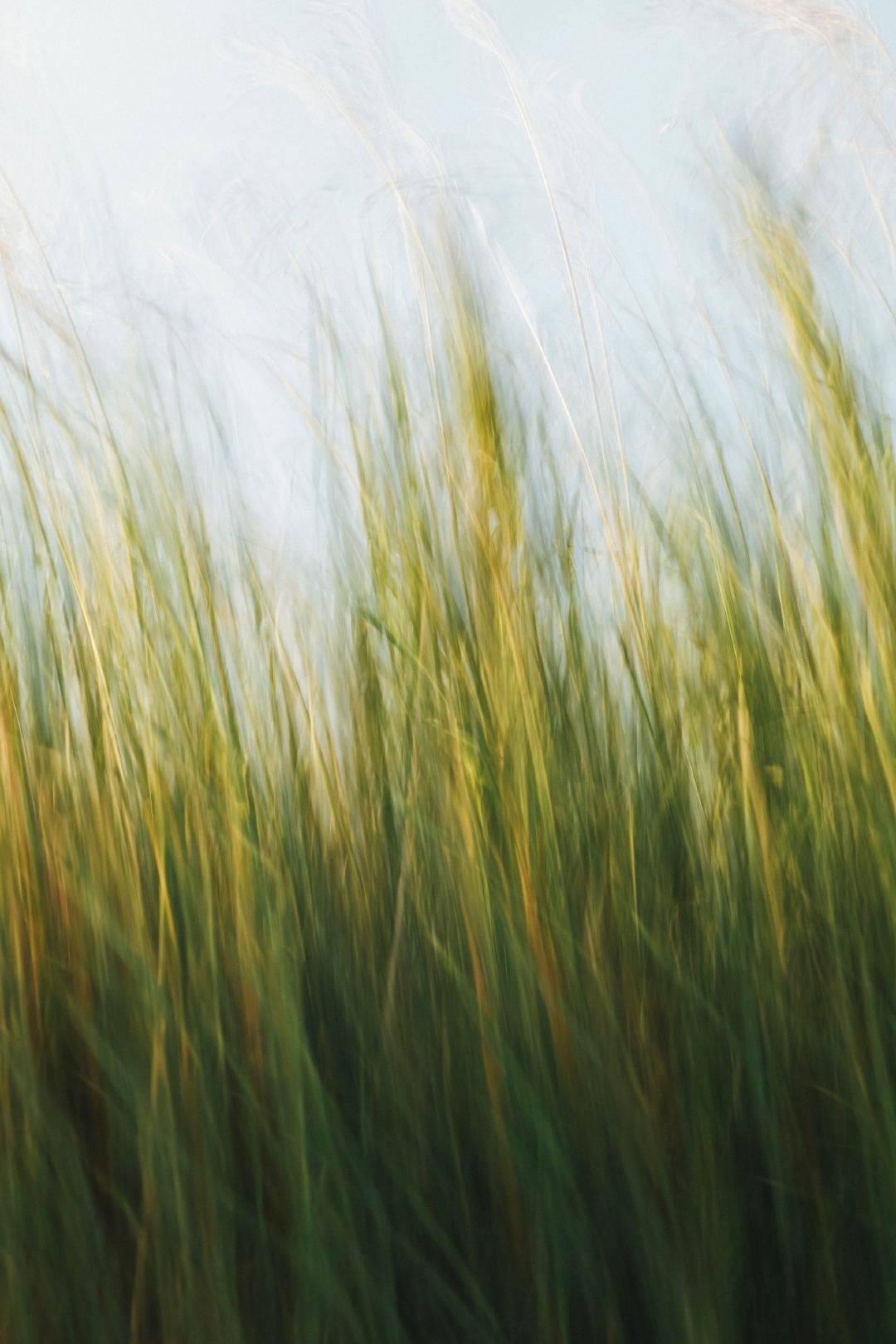 Canon Eos 5d Series - HD Wallpaper 