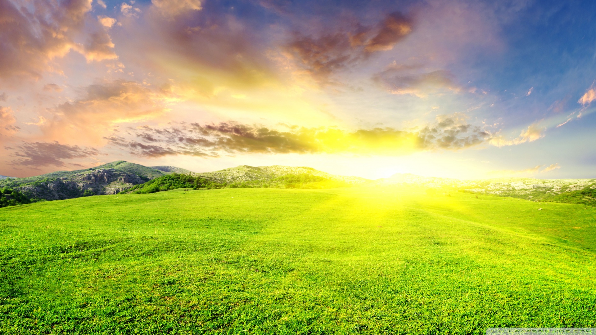Grassland Sunshine - HD Wallpaper 