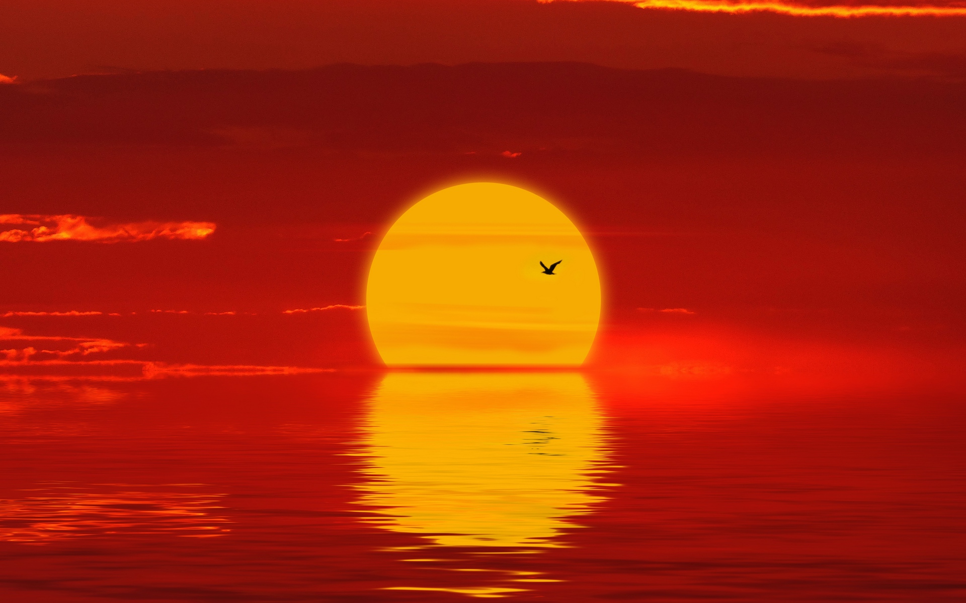 Sun Setting - HD Wallpaper 