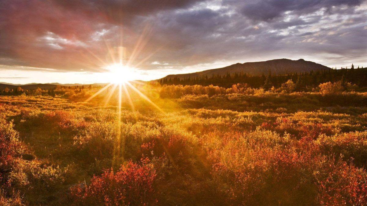 Sunrise Images Wallpaper - Sun Rise Image Download - HD Wallpaper 