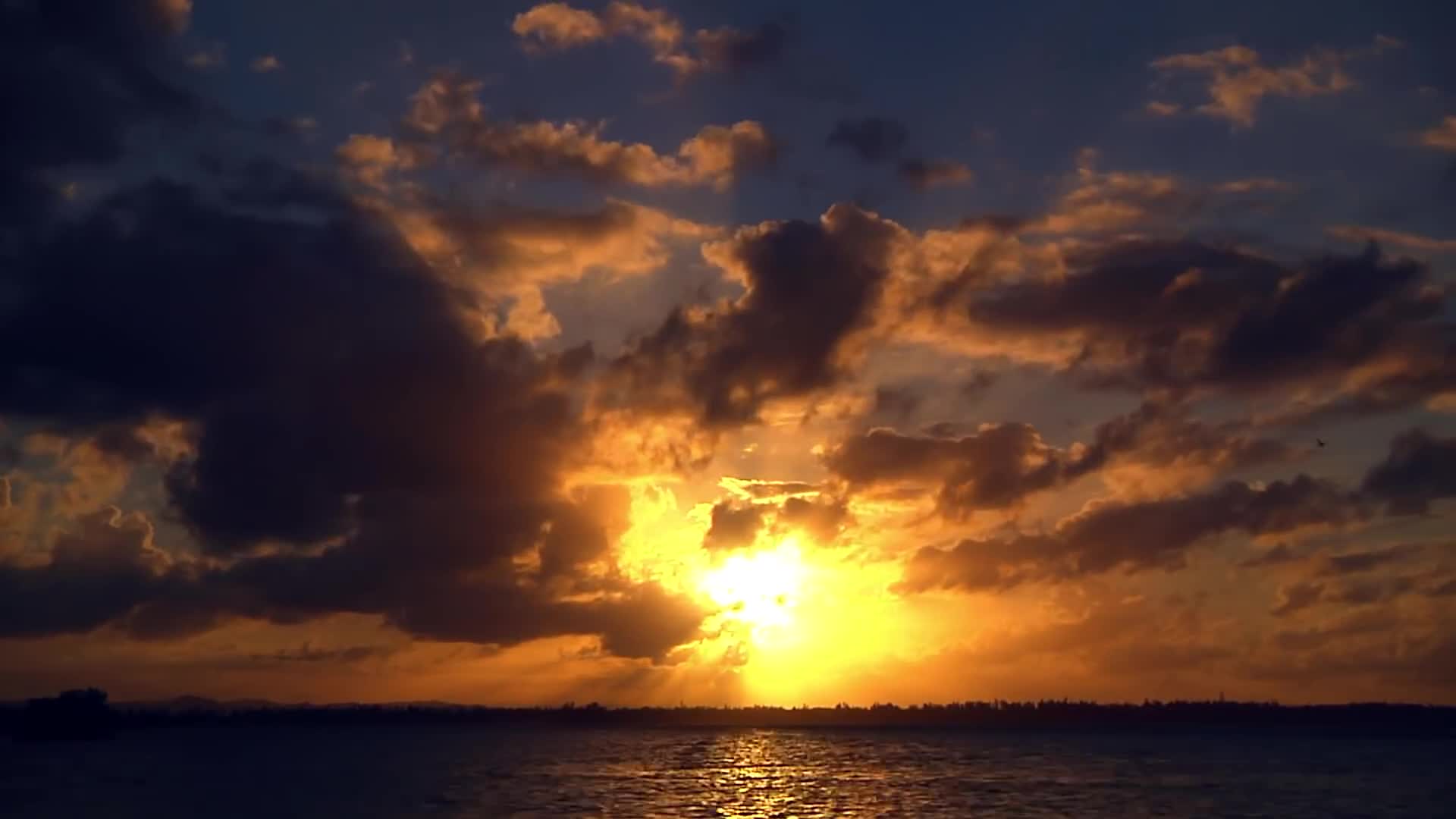 Video - HD Wallpaper 