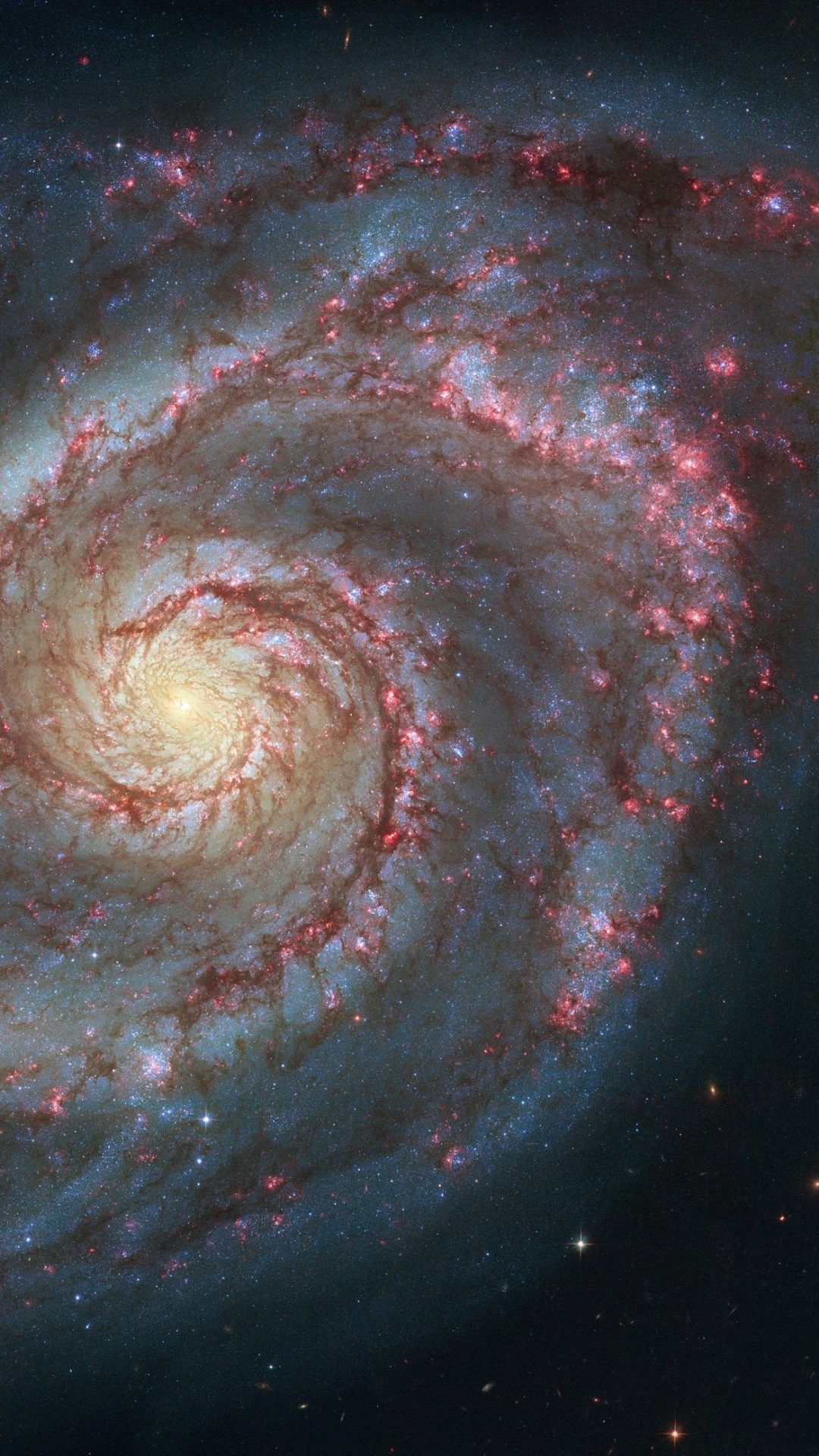 Iphone Wallpaper Purple Nebula - Fibonacci Sequence In Nature Galaxy - HD Wallpaper 