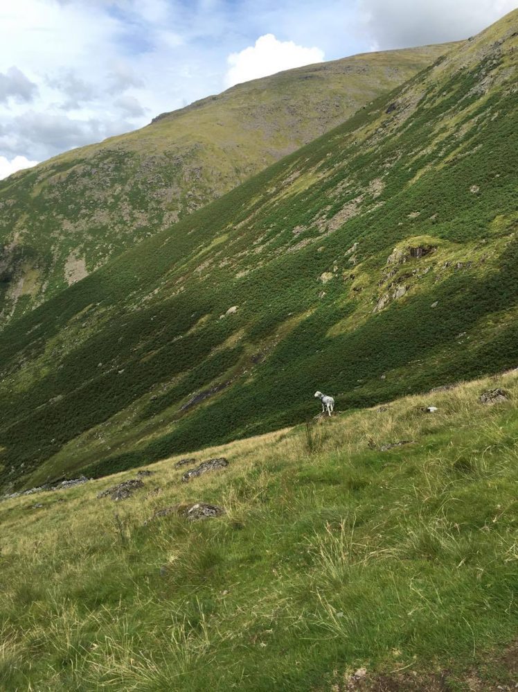 Lake District Wallpaper - HD Wallpaper 