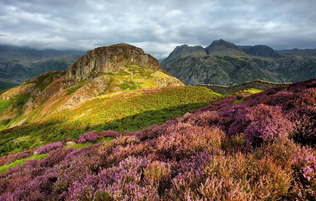Photo Wallpaper Mountains, Nature, Flowering, England, - Side Pike Langdales England - HD Wallpaper 