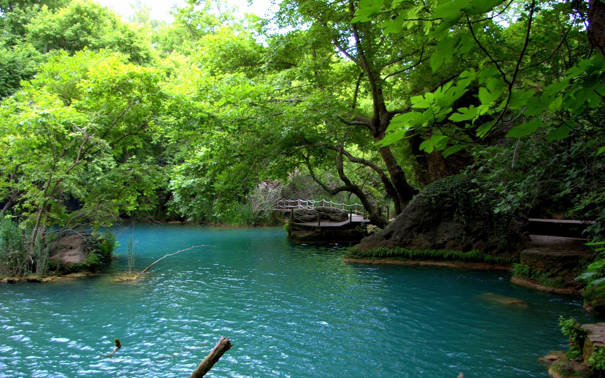Blue Lake In Forest Wallpaper - Abant Eskişehir - HD Wallpaper 