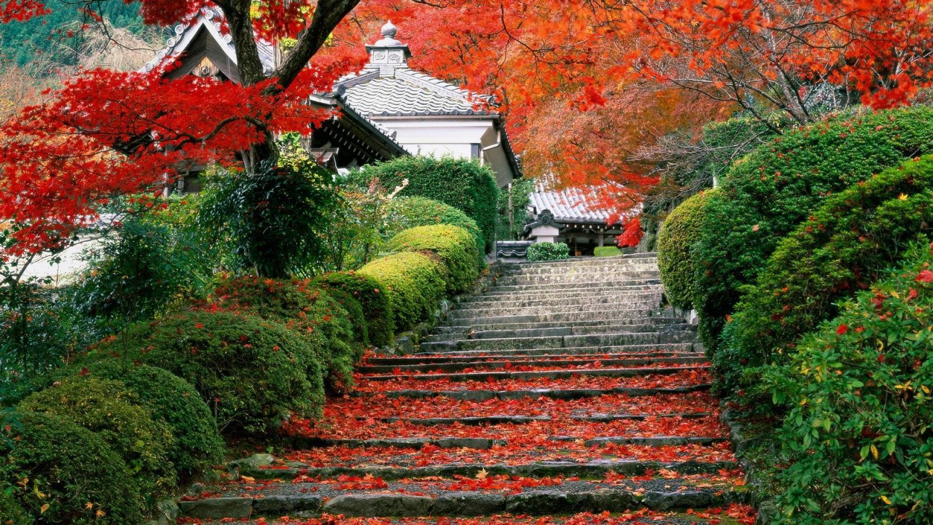 Beautiful Japanese Garden Wallpapers Hq Definition - HD Wallpaper 