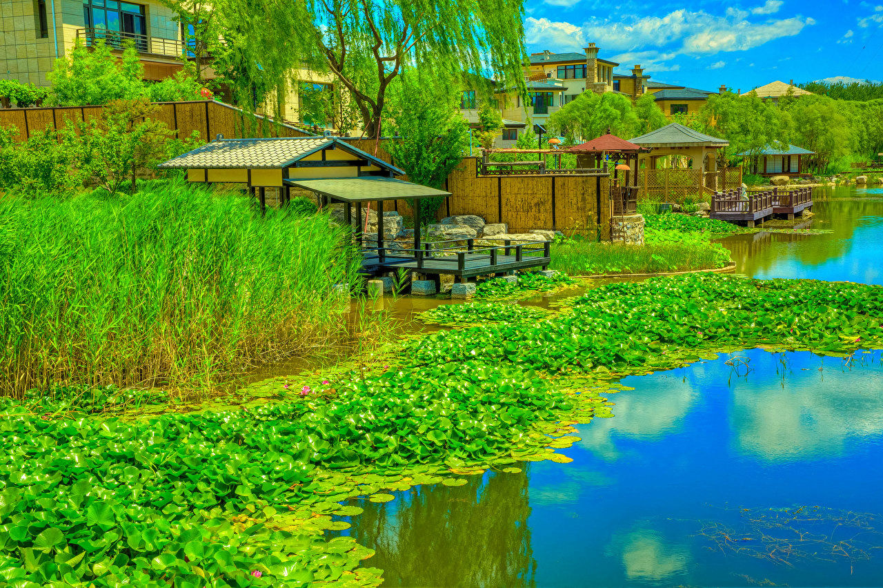 Reflection - HD Wallpaper 