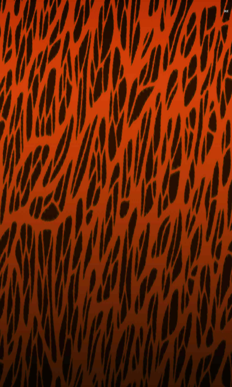 Tiger Print - HD Wallpaper 