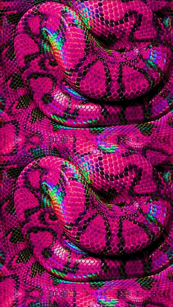 Pink Snakes - HD Wallpaper 