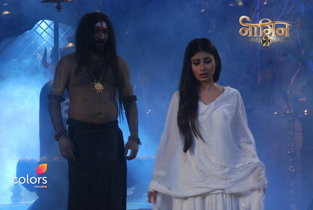 Naagin 2 Gossips Vineet Kumar Chaudhary To Enter As - Naagin Season 2 Mouni Roy - HD Wallpaper 