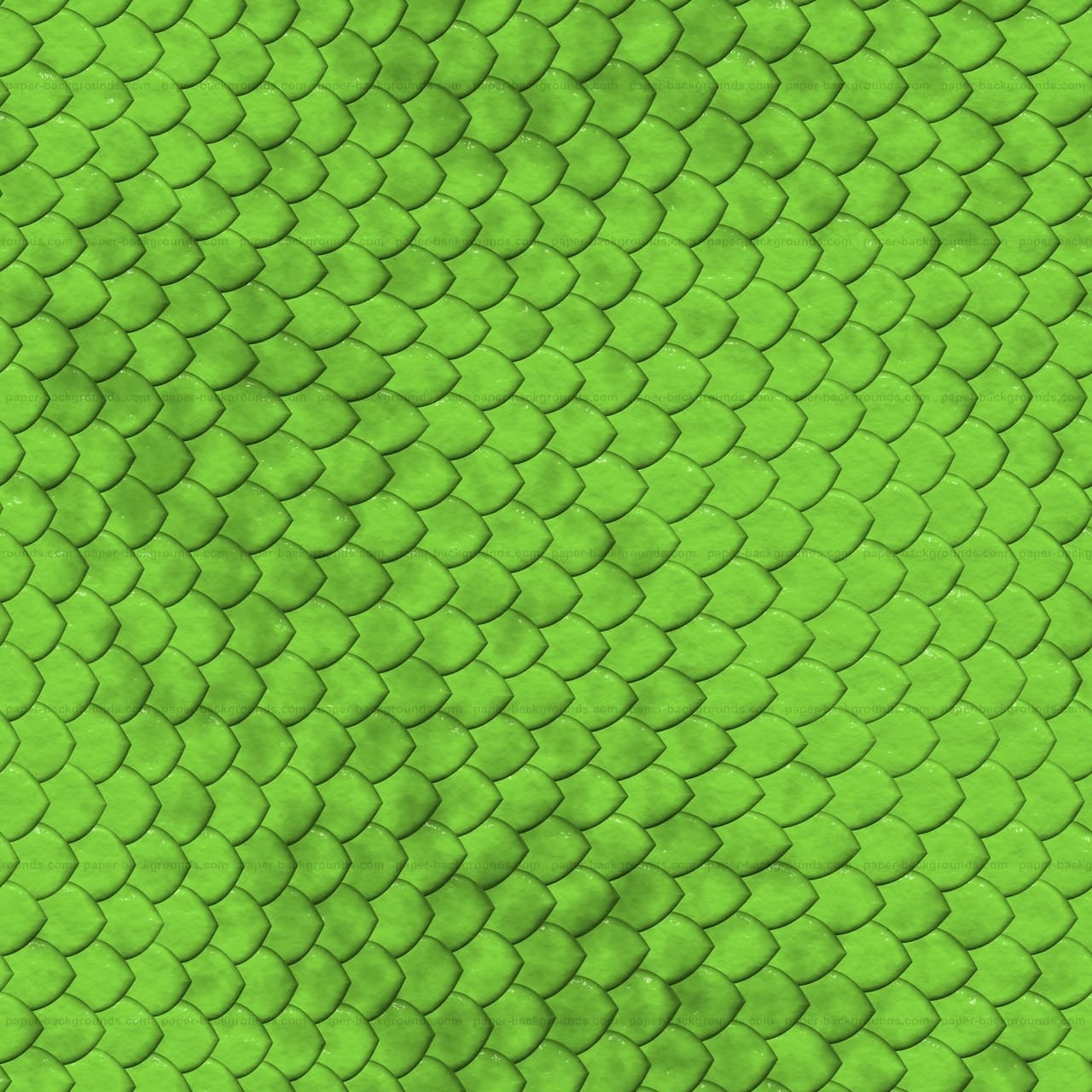 Animal, Animal Print, And Animals Image - Lizard Skin Texture Seamless - HD Wallpaper 