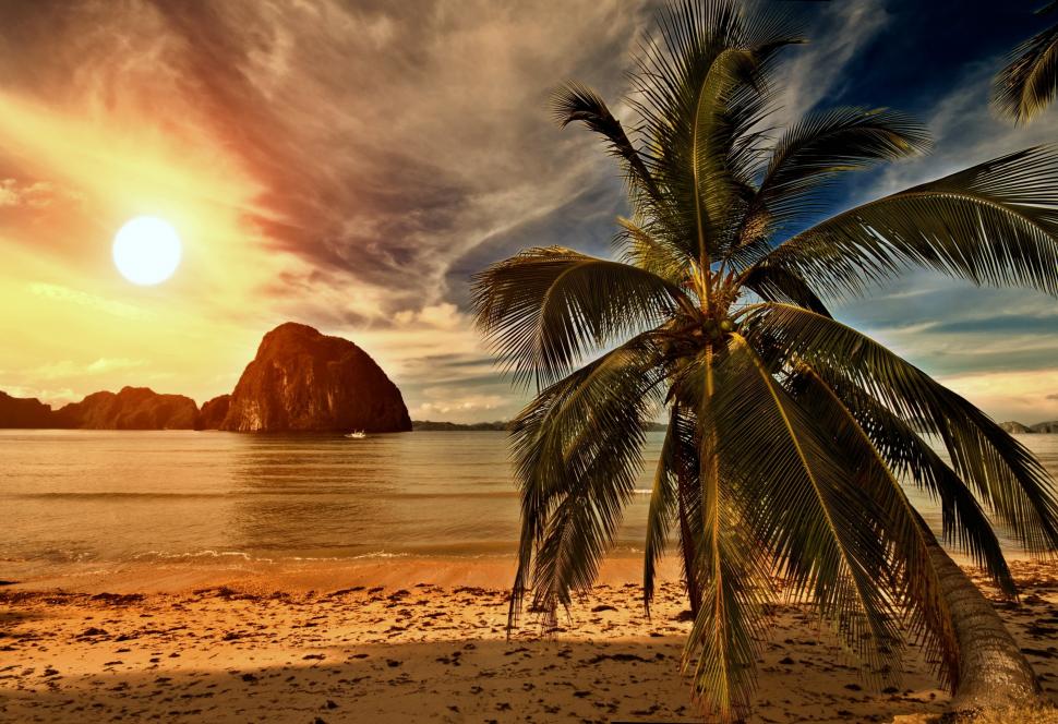 Tropical Paradise,palm On Beach Wallpaper,tropical - Ultra Hd 4k Tropical -  970x664 Wallpaper 