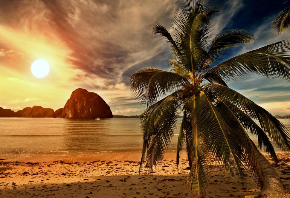 Tropical Paradise,palm On Beach Wallpaper,tropical - Ultra Hd 4k Tropical - HD Wallpaper 