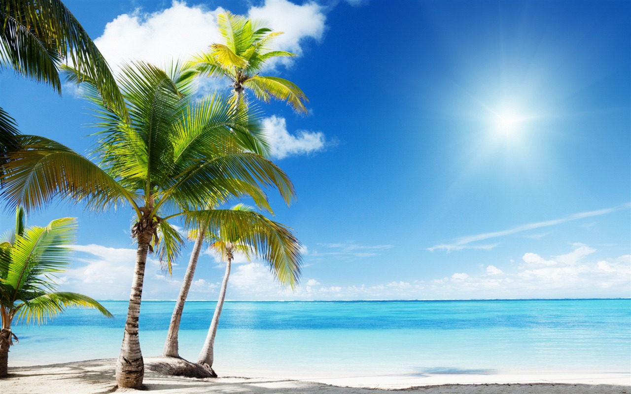 Tropical Beach - HD Wallpaper 
