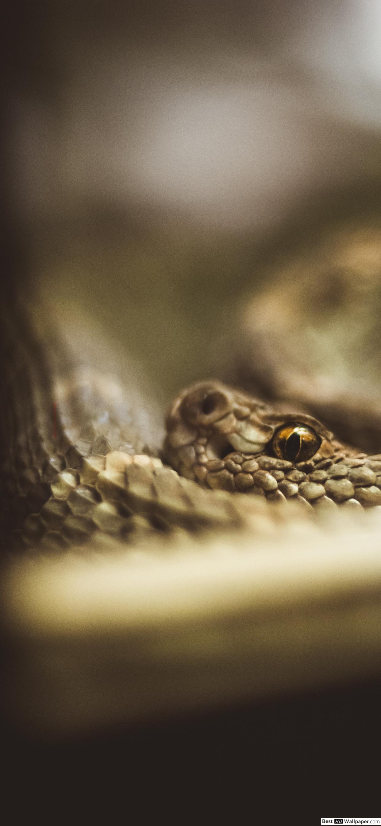 Samsung - HD Wallpaper 