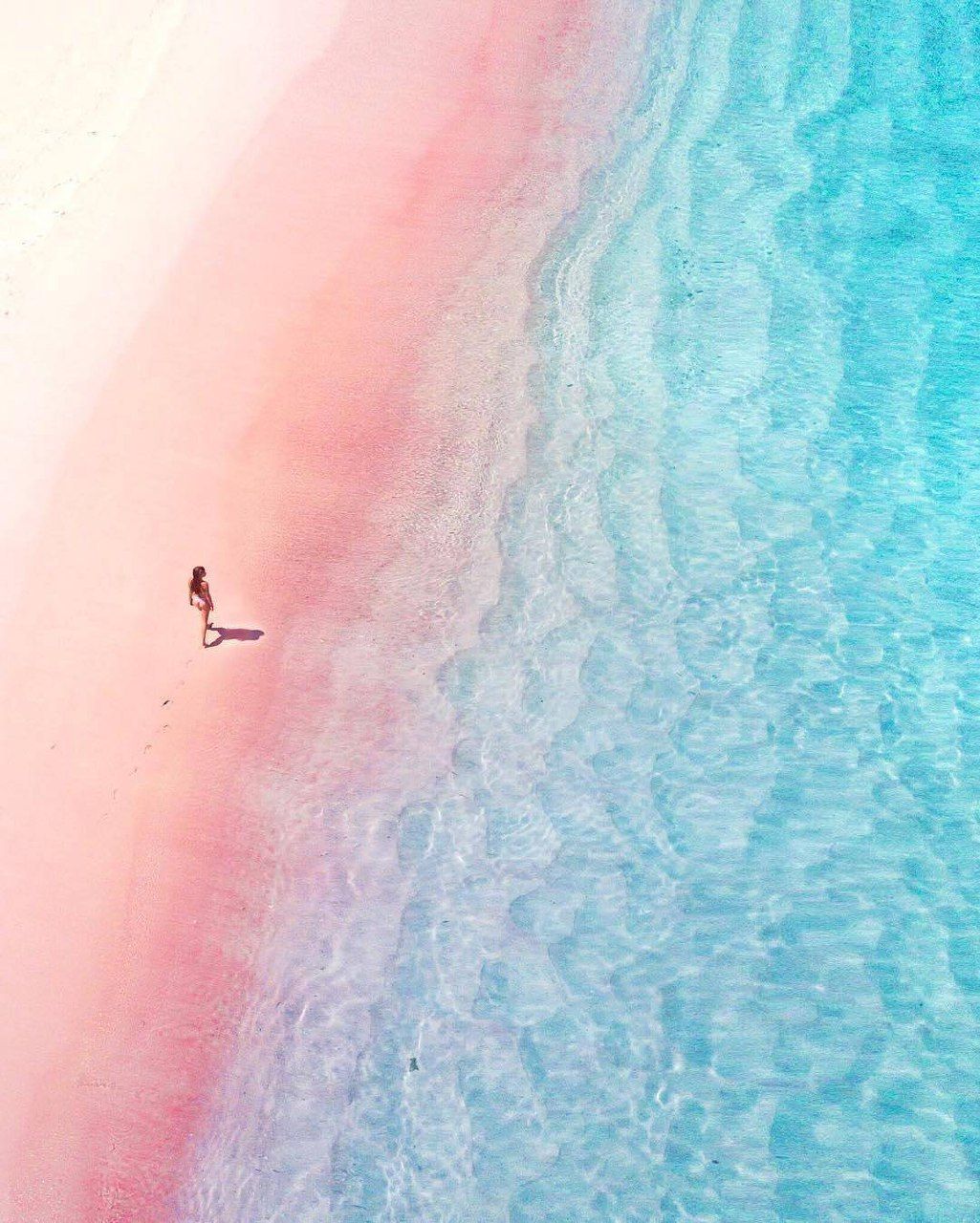 Pink Beach Komodo Island 1025x1280 Wallpaper Teahub Io