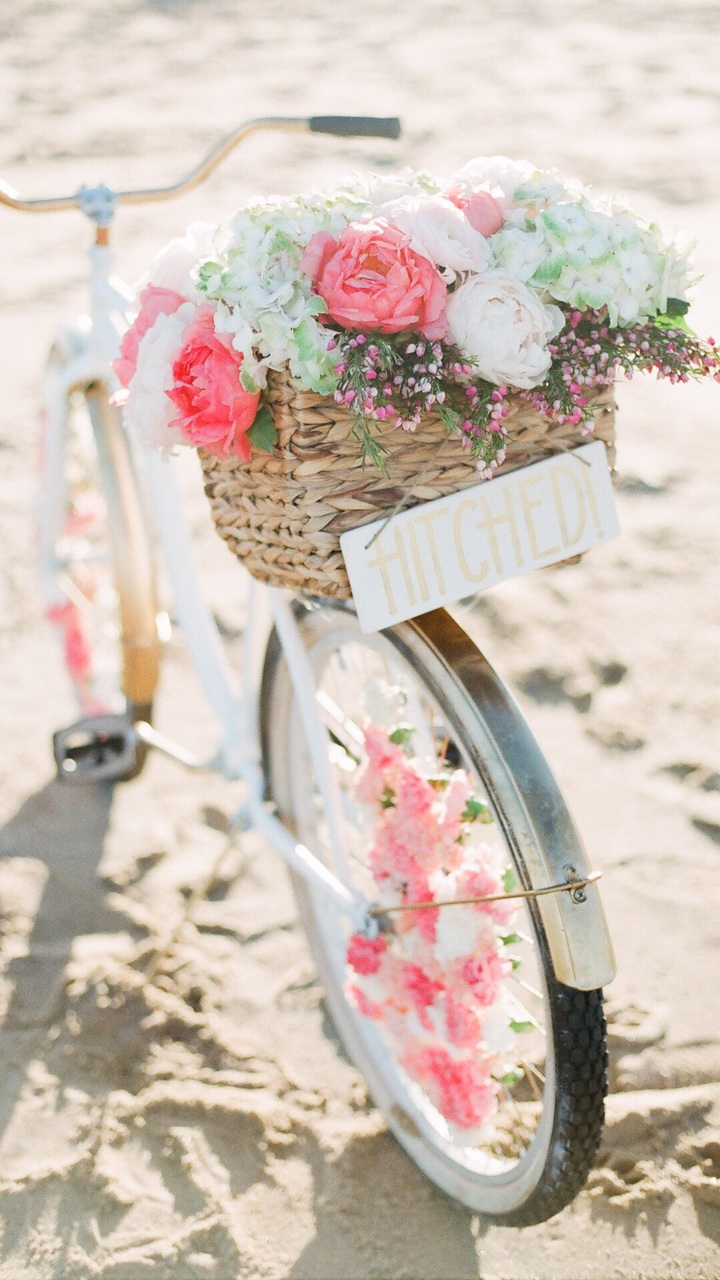Beach, Bike, California - Bicycle Flowers - HD Wallpaper 