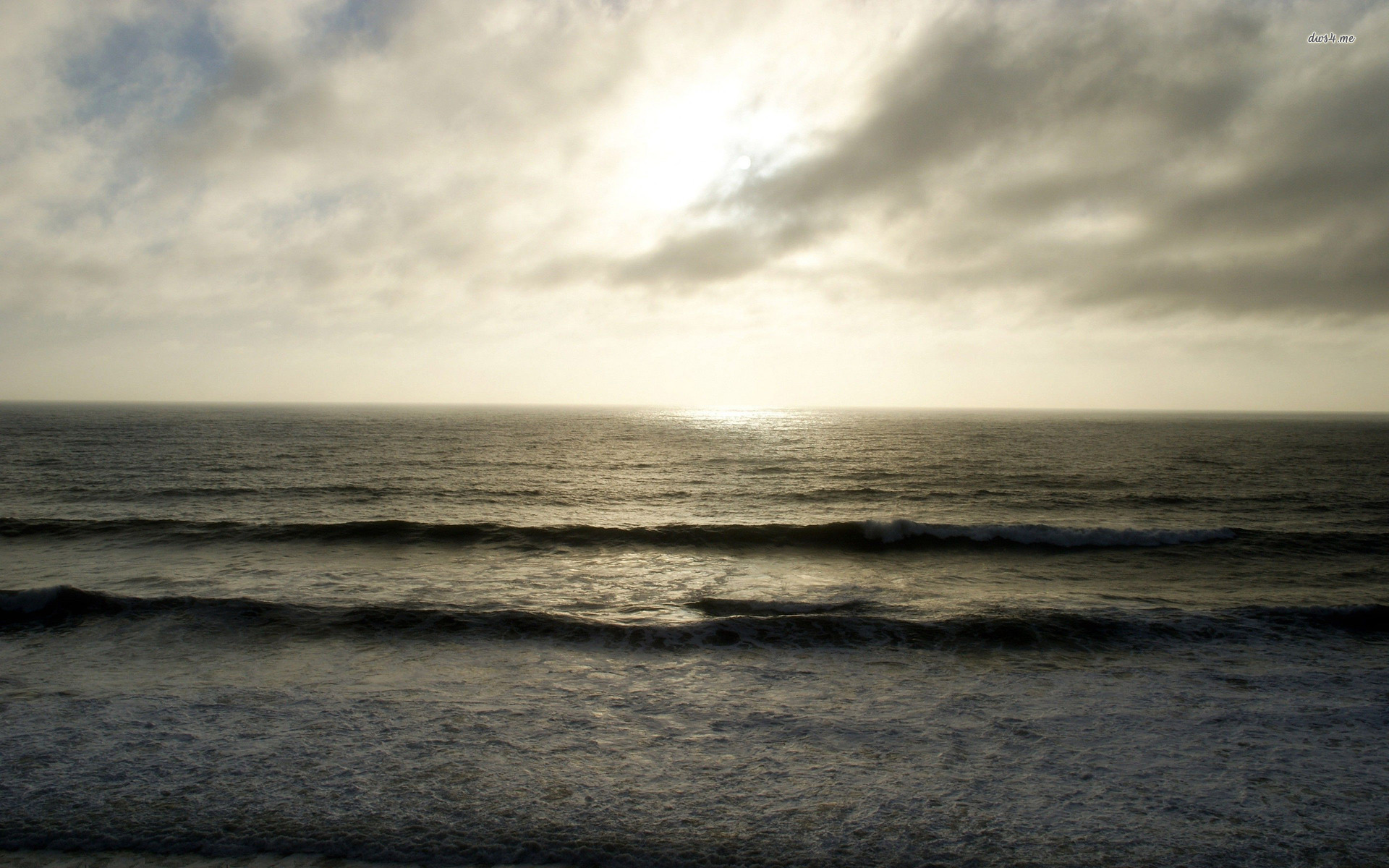 Wallpaper - HD Wallpaper 