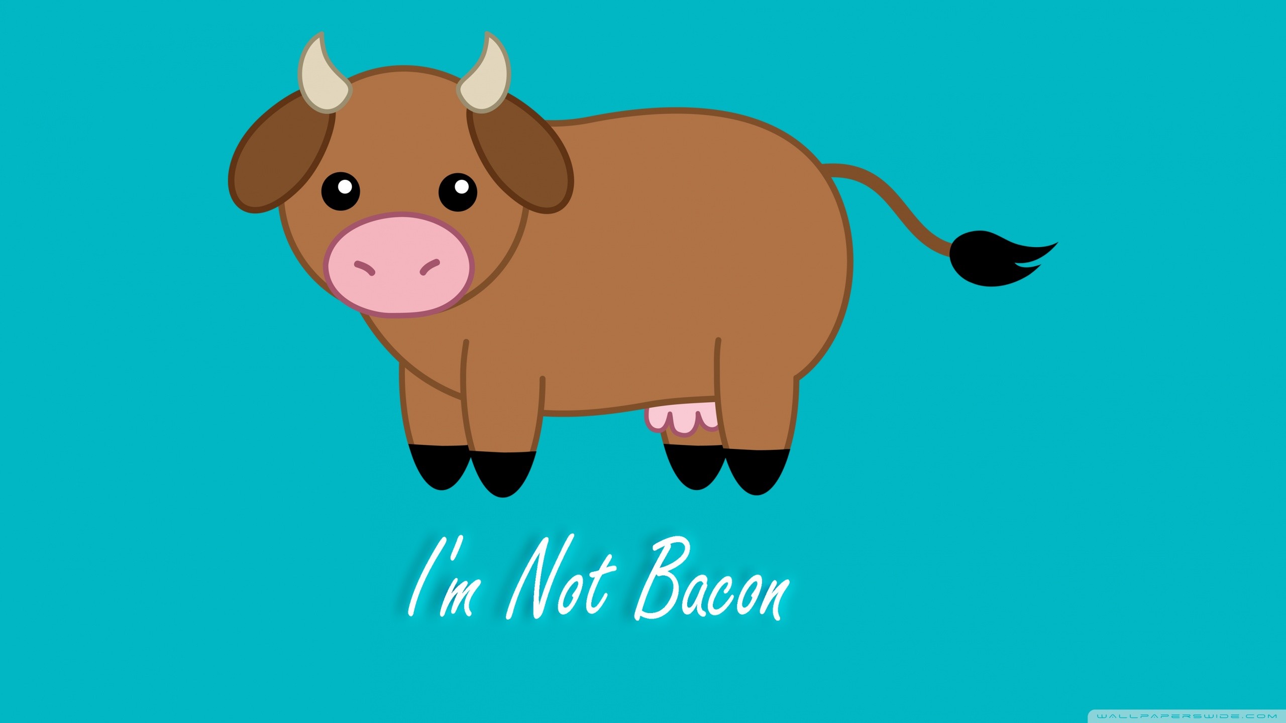 2560x1440, Hd - Cute Brown Cow - HD Wallpaper 