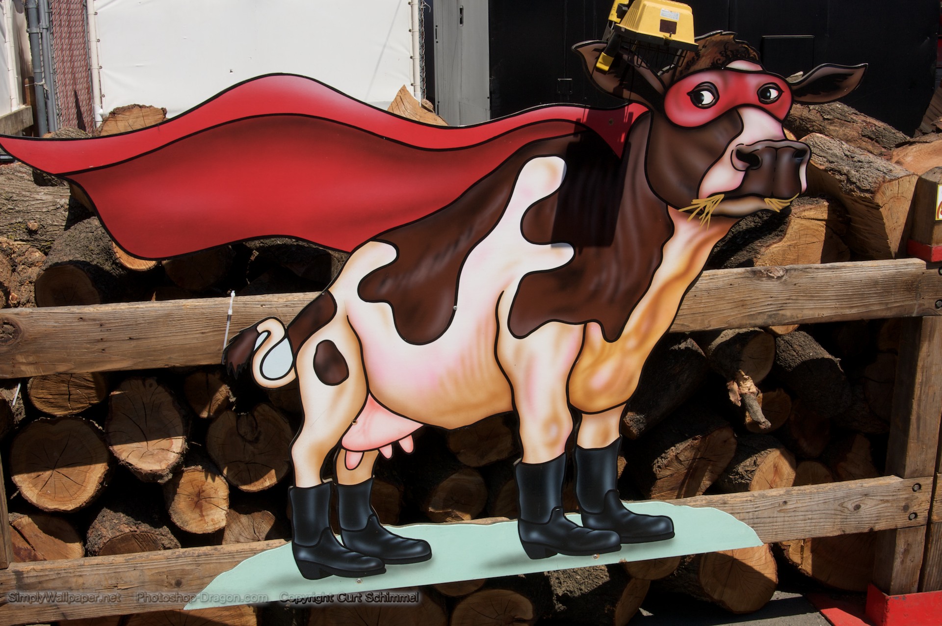 Cow With A Cape - HD Wallpaper 