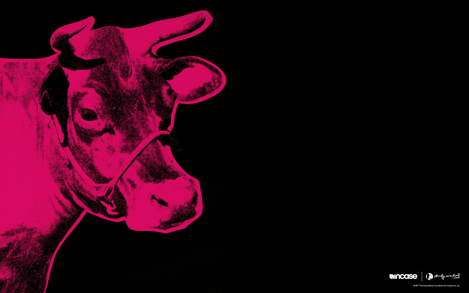 Warhol Pop Art Gallery, Pictures, Images, Art Gallery, - Andy Warhol Cow Background - HD Wallpaper 