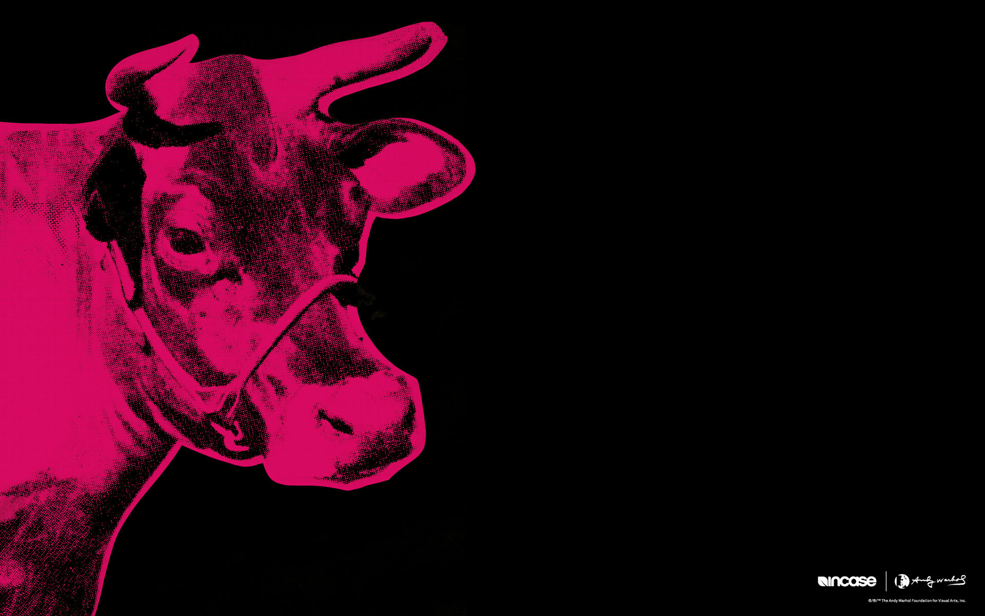 Warhol Pop Art Gallery Pictures Images Art Gallery Andy Warhol Cow Background 19x10 Wallpaper Teahub Io