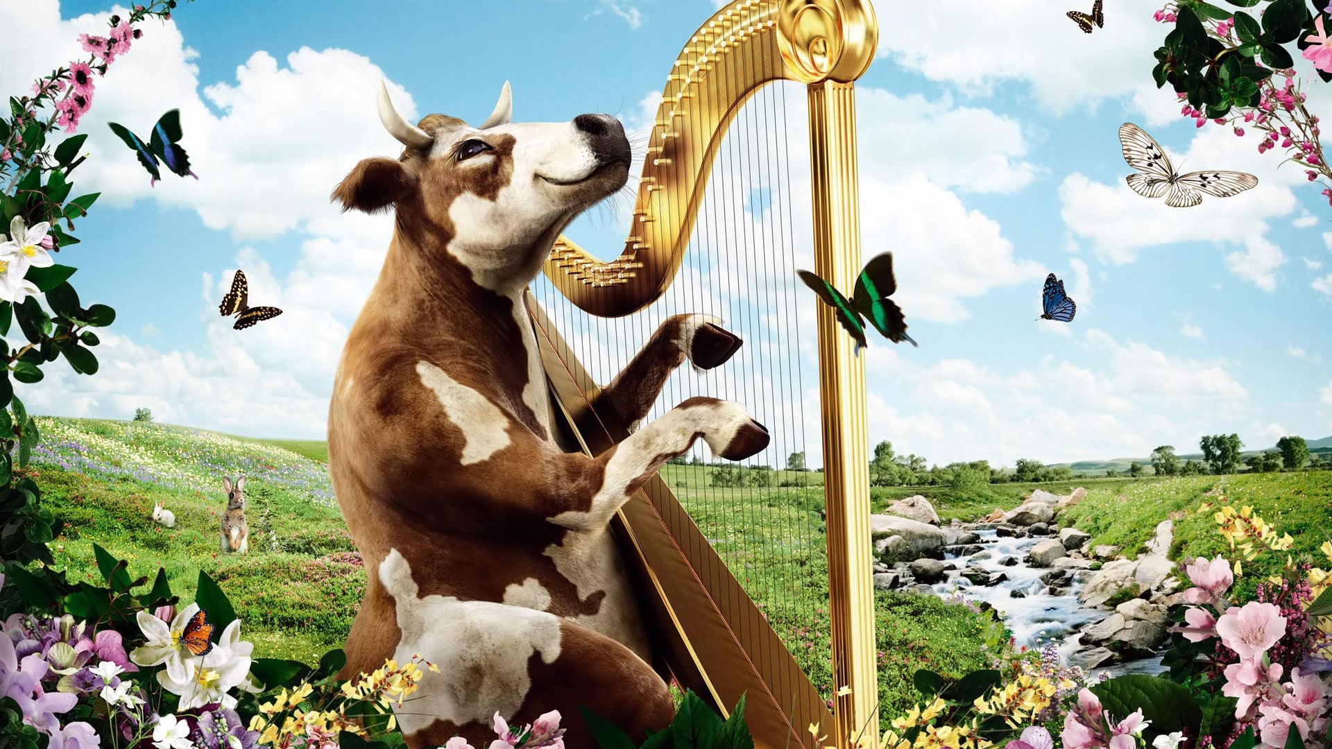 Cow Harp - HD Wallpaper 