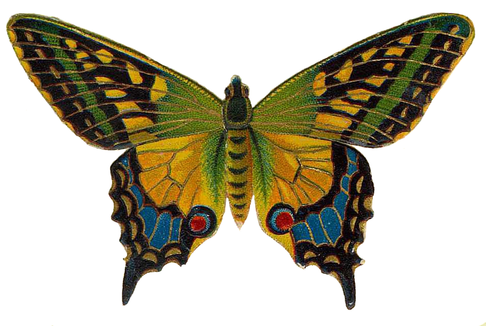 Butterfly Illustration Vintage Png - HD Wallpaper 