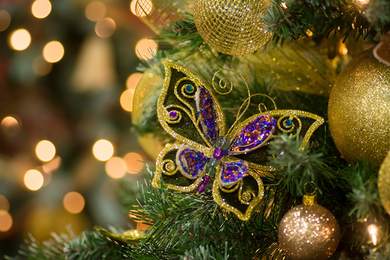Christmas Butterfly - HD Wallpaper 