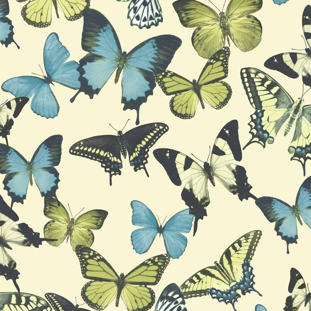 Butterfly - HD Wallpaper 