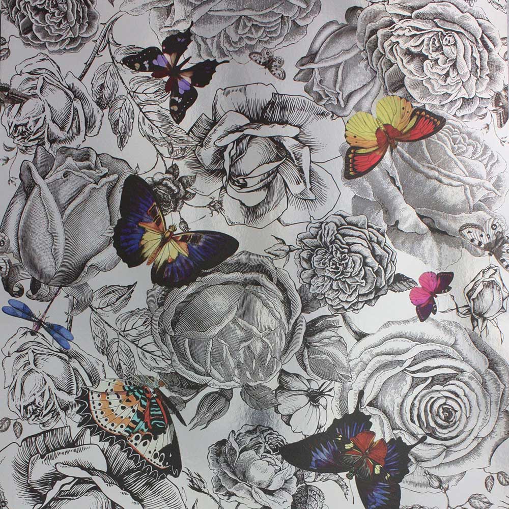 Garden Roses - HD Wallpaper 