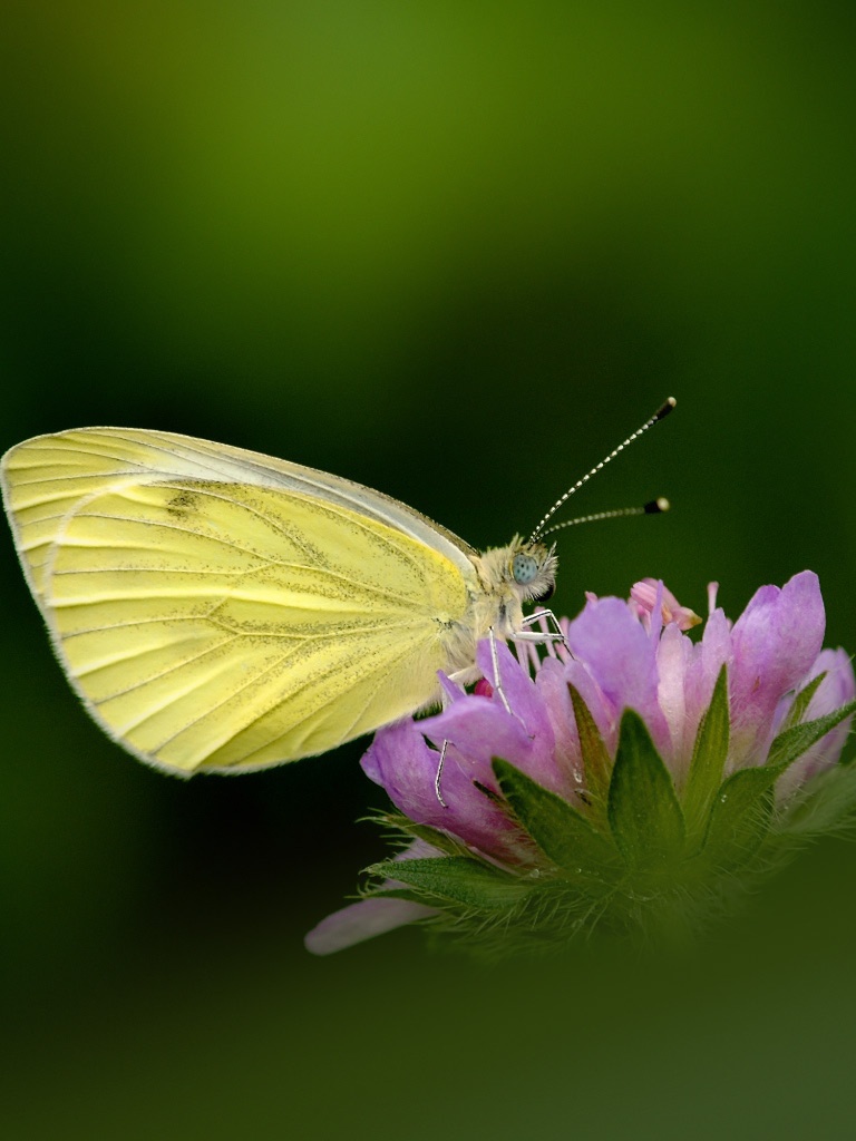 اللهم اصلح لنا احوالنا - HD Wallpaper 