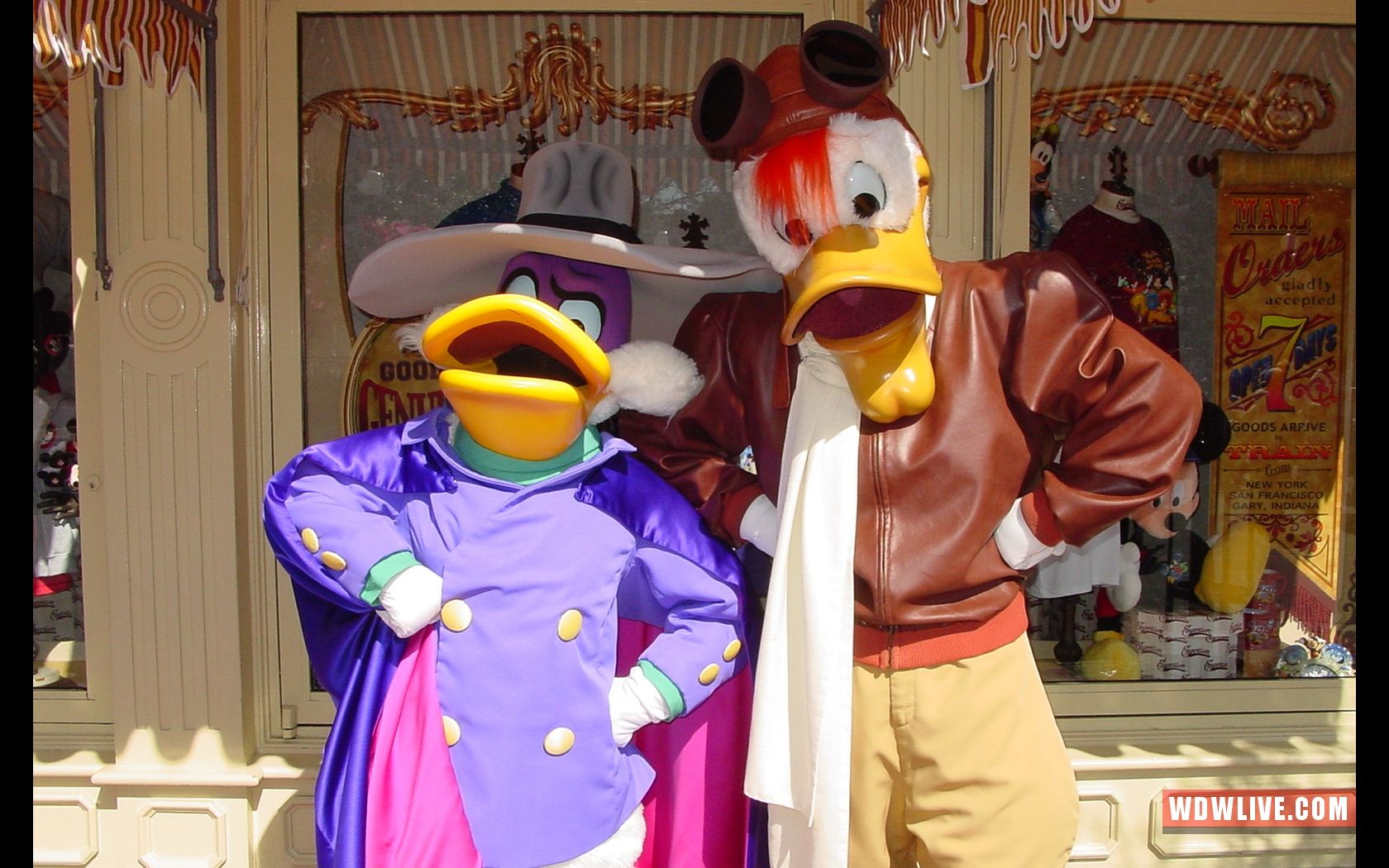 Disney World Darkwing Duck - HD Wallpaper 