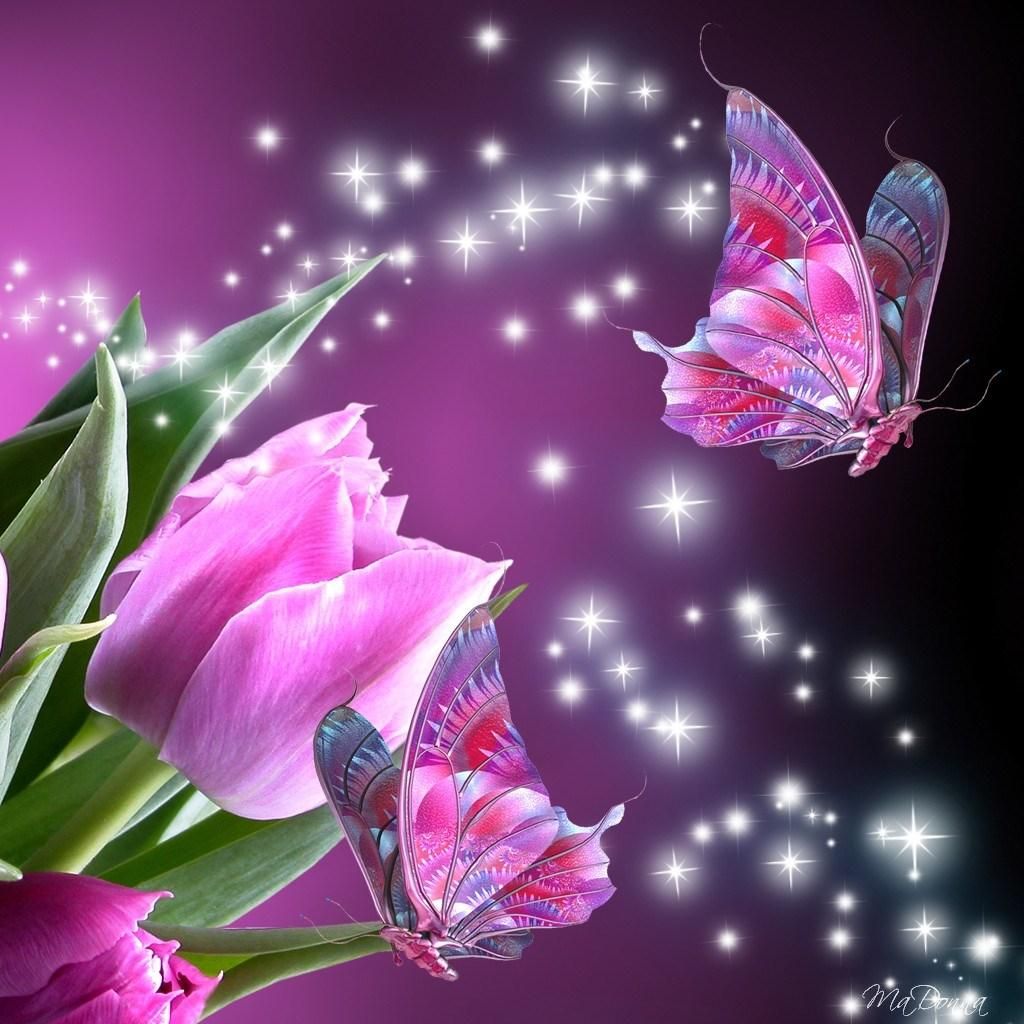 3d Wallpaper Of Butterfly - 1024x1024 Wallpaper - teahub.io