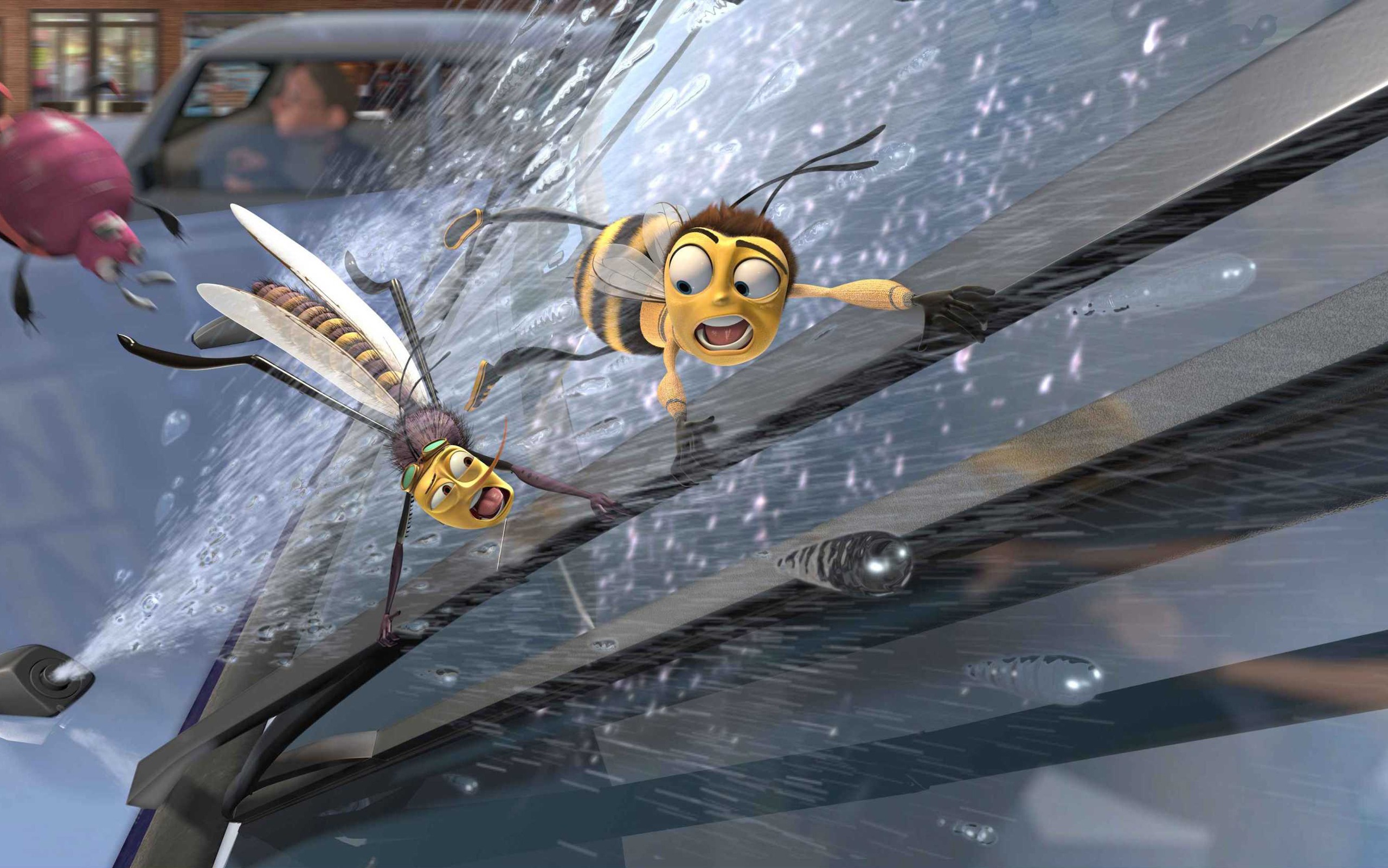 Bee Movie Hd Wallpaper - Bee Movie Bugs On Windshield - HD Wallpaper 