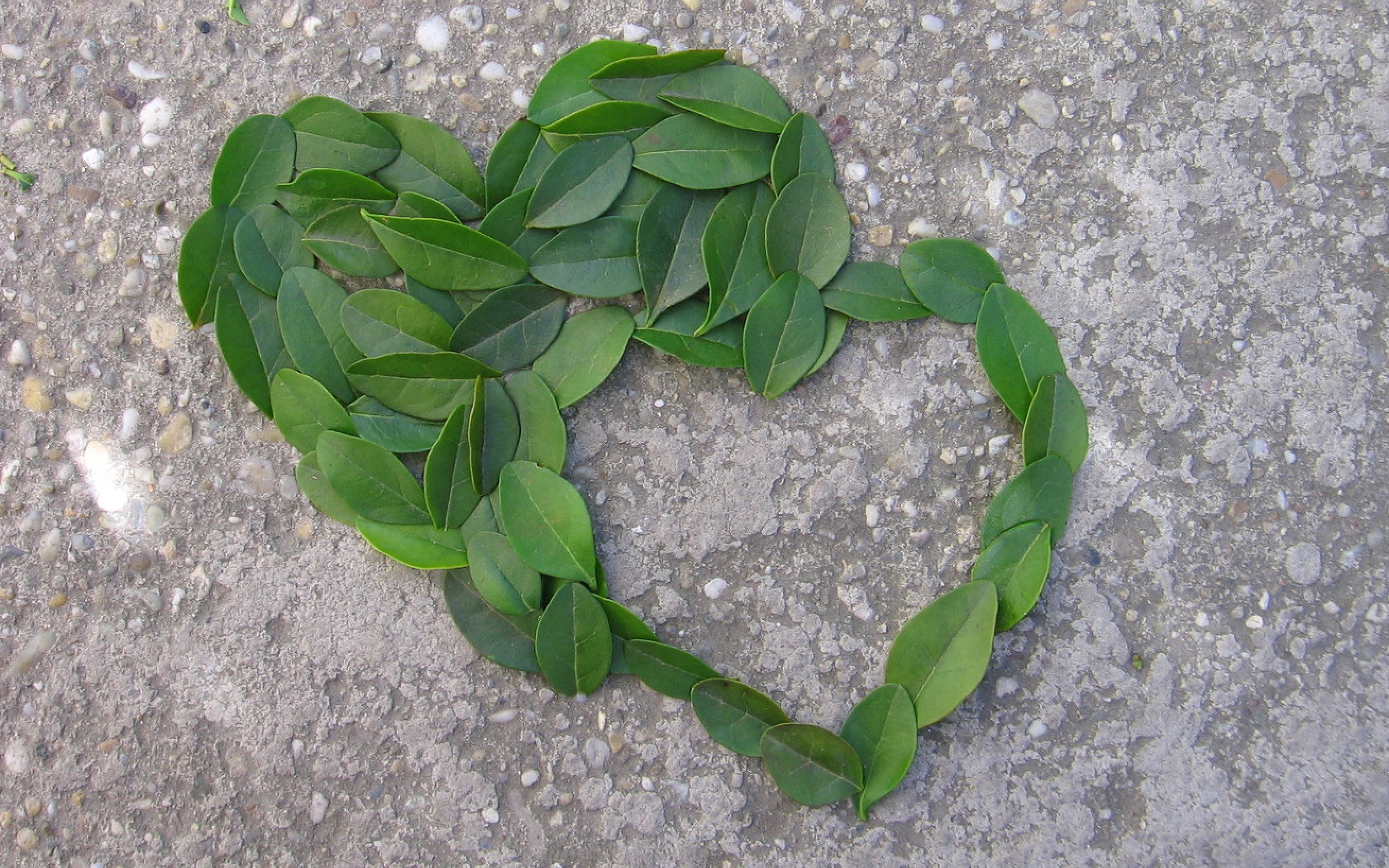 Heart - HD Wallpaper 