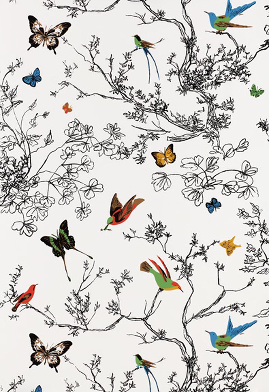 Schumacher Birds And Butterflies Wallpaper Multi On - Schumacher Birds And Butterflies - HD Wallpaper 