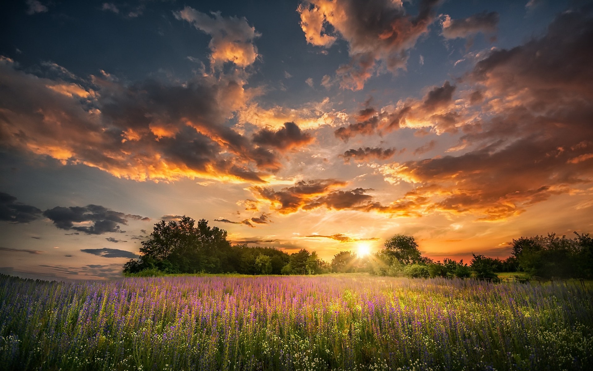 Wallpaper Summer, Flowers, Sunset, Clouds, Nature - Sunset Cloud Images Hd - HD Wallpaper 