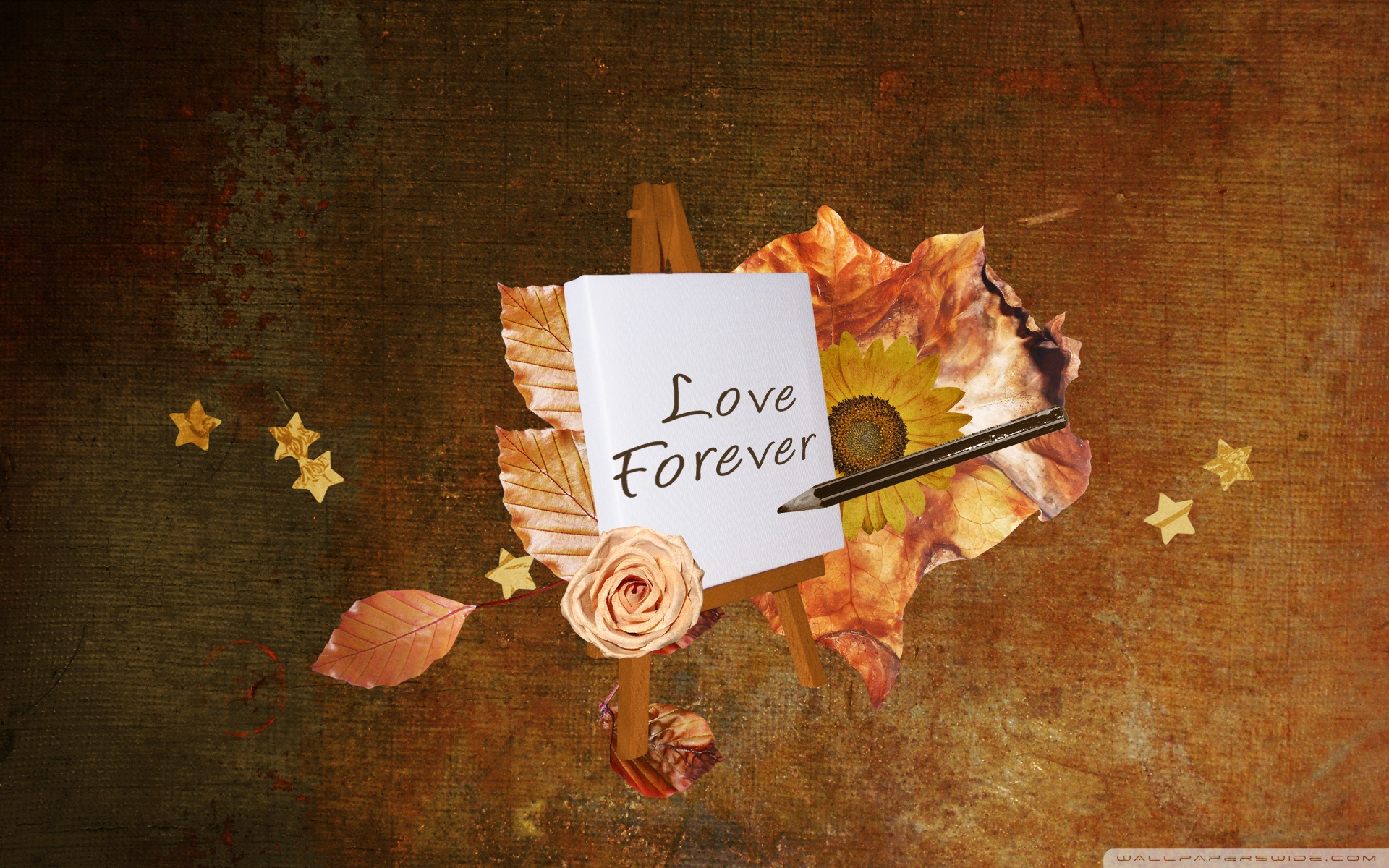 Samsung S5230 - HD Wallpaper 