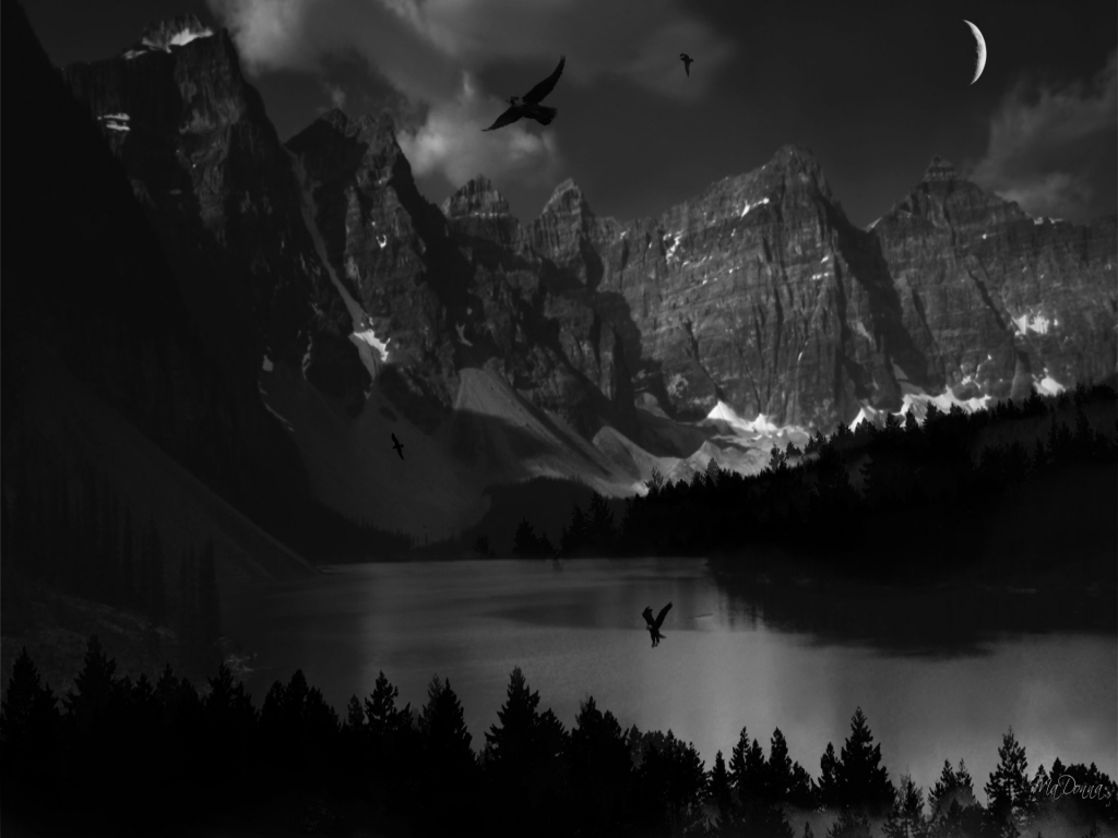 Dark Nature Wallpaper 4k - HD Wallpaper 
