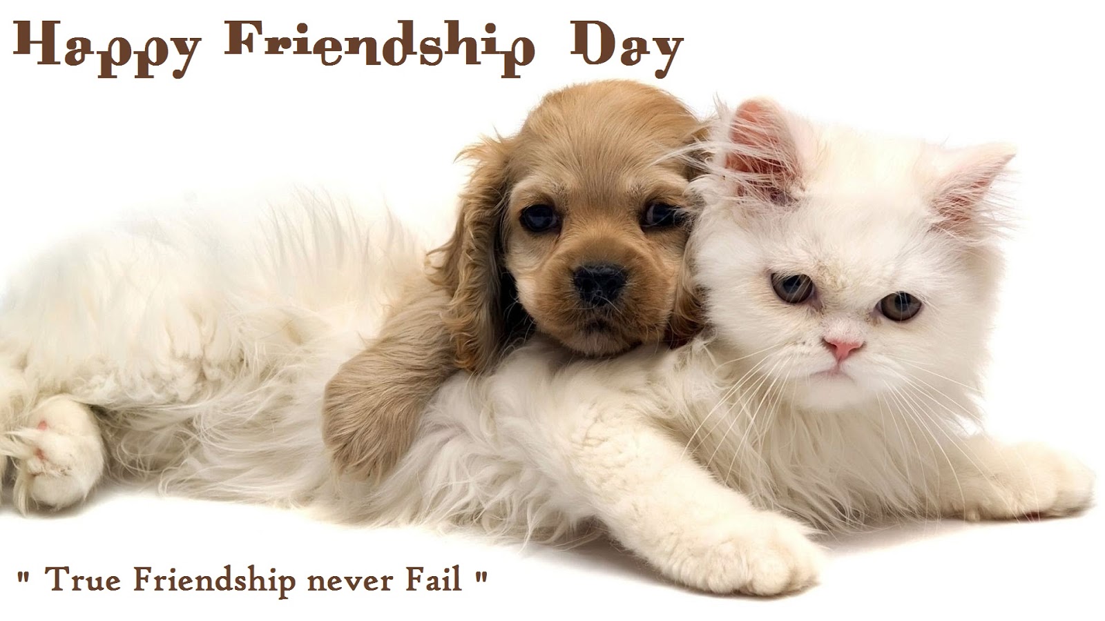 Friendship Day Dog Quotes - HD Wallpaper 