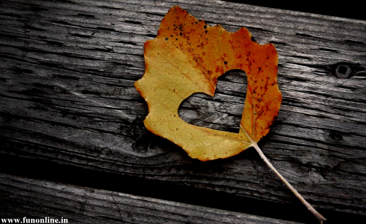 Love Forever Wallpaper Wallpaper Hd Cool Page 4 Of - Quotes By Dave Kenyon - HD Wallpaper 