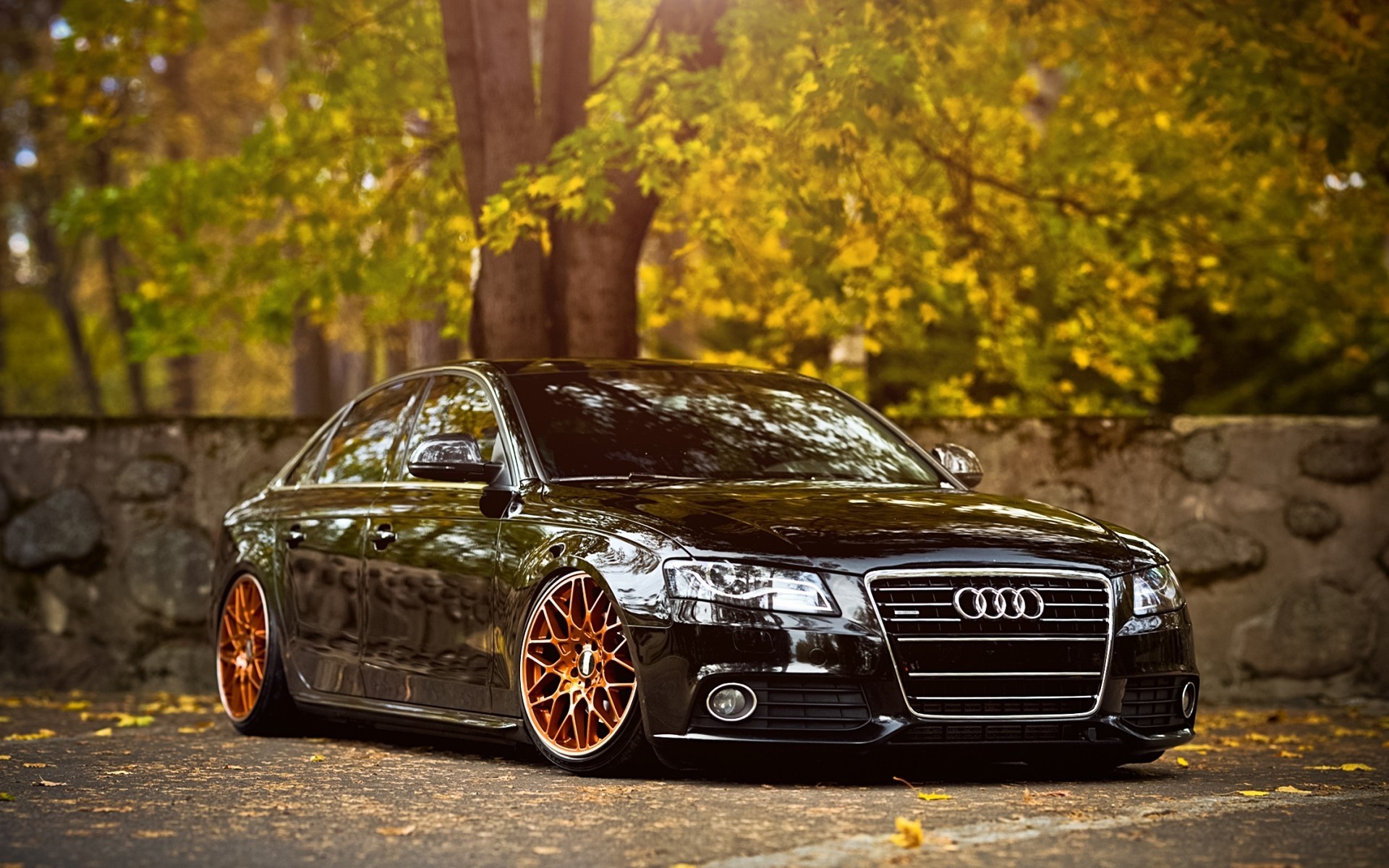 1920x1200, Car Audi Audi A4 Stance Wallpapers Hd Desktop - Audi A4 Wallpaper Hd - HD Wallpaper 