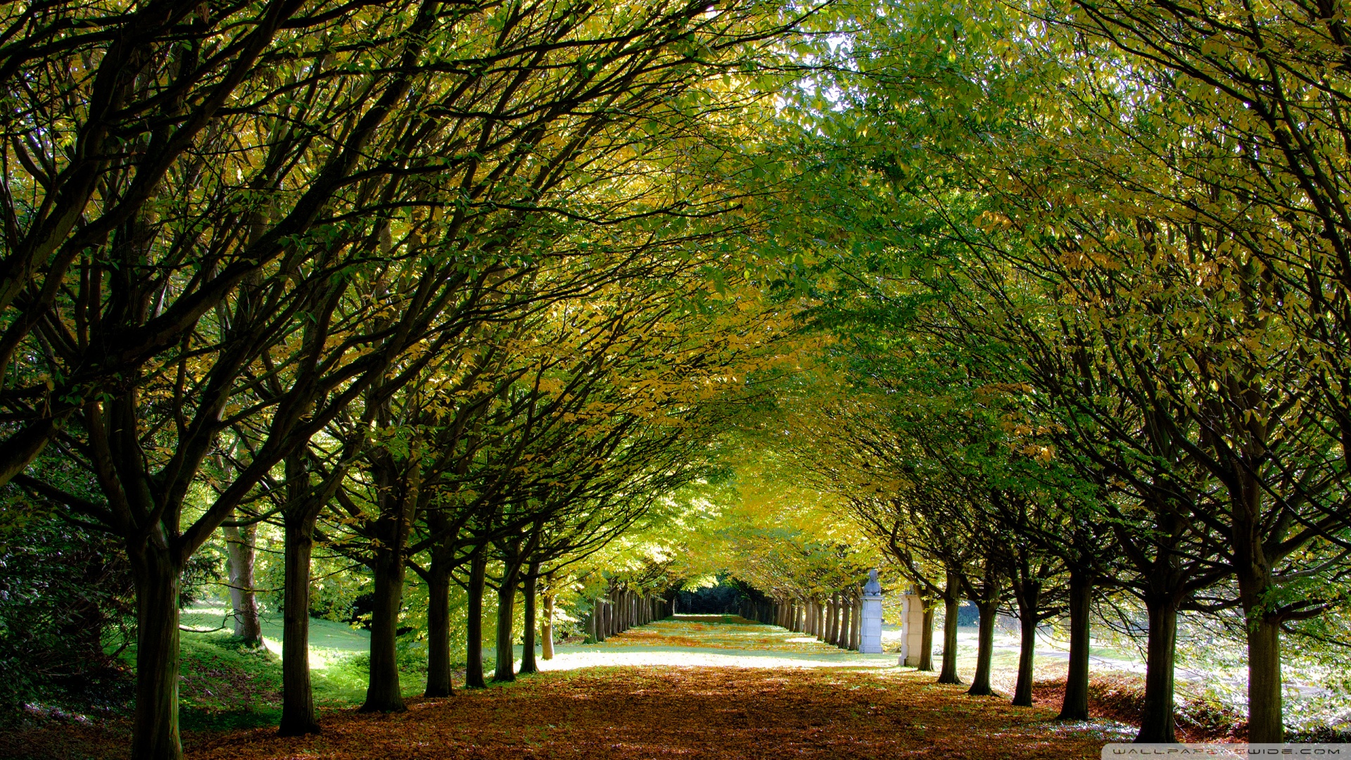 Autumn Anglesey Abbey Cambridgeshire England Wallpaper - Autumn Wallpapers Hd Ipad - HD Wallpaper 