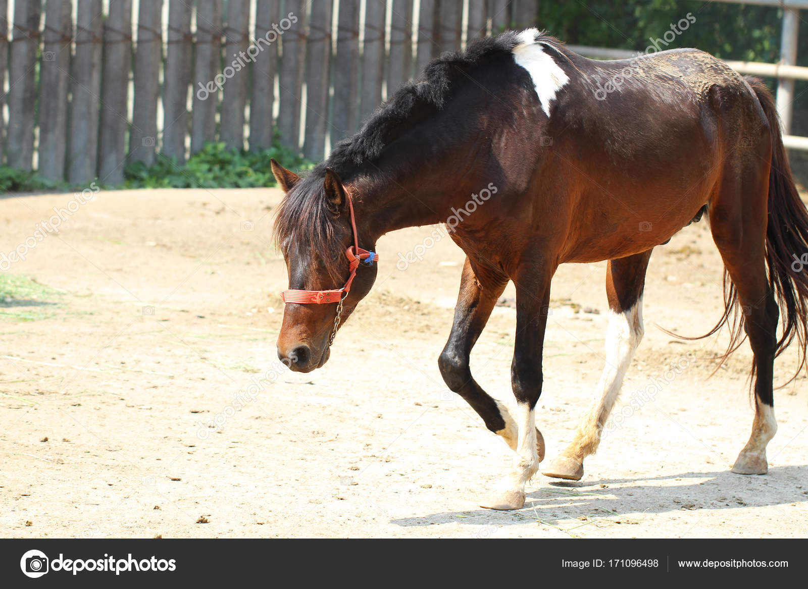 Stock Photography - HD Wallpaper 