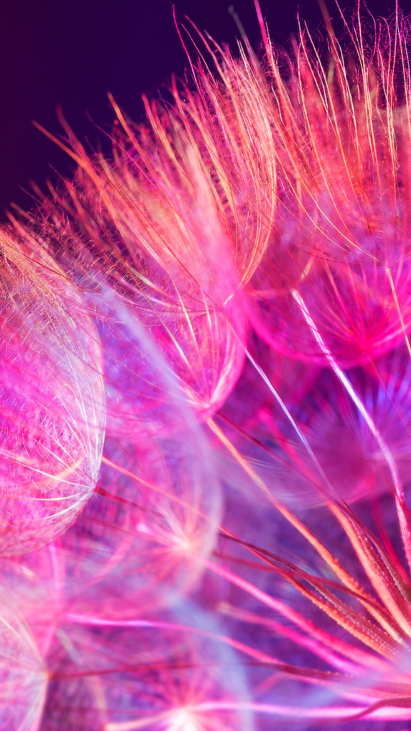 Honor 9 Lite Wallpaper Hd Download - HD Wallpaper 